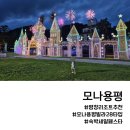커피베이모나용평점 | 평창 모나 용평리조트 빌라콘도 28타입 숙세페후기
