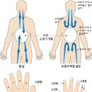 체했을때 따는 손가락은 따로있다. 이미지