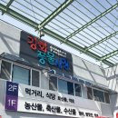 황산도 펜션 | [강화 풍물시장] 회 포장 - 황산도 내돈내산 후기