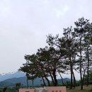 생초메기탕 이미지