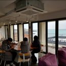 선인장을 부탁해 이미지