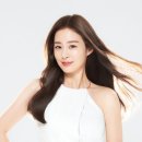비전인셀덤