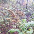 백담주차장 이미지