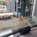 용대2리 마을회 이미지