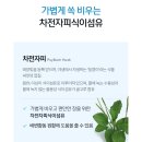 만성인셀덤 | 지독한 변비 탈출! 장 건강부터 남성 활력까지? 리만코리아 딥톡 플러스 솔직 후기 (ft. 쾌변의 신세계)