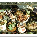 청성슈퍼 이미지