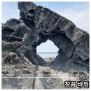 북촌환해장성 | 제주 창꼼바위 위치 및 여행기