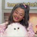 미스터브리즈커피 이미지