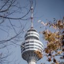 푸른행정사사무소 이미지