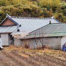 공격하거나 방어하는 자의 행태는 모두 똑같다 이미지