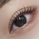 밀레니엄 제이 이미지