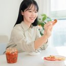 댕냥이 이미지