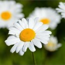 유문빌딩 이미지