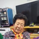 꽃길다육 이미지