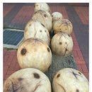 고성공룡시장 이미지