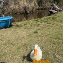 길갈농장 이미지