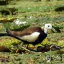 우포민박 이미지