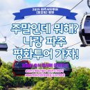 파주시티투어 평화관광(토요일) 이미지