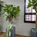 (주)한아글로벌 이미지