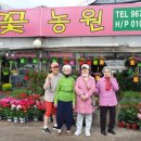 은혜꽃농원 이미지