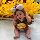 종합운동장로 | [블챌] 왓츠인마이블로그 7개월부터 함께한 홈플러스아시아드점 꼬꼬마놀이터 가을학기 후기