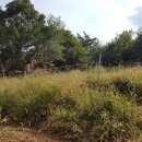 덕장농장 이미지