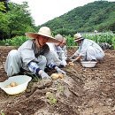 하늘땅바람 Daum카페