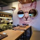 올바른스시 이미지