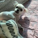 오꾸닭삼산2호점 이미지