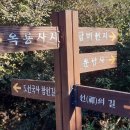 제비추리봉 티스토리