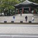 천안고려인삼