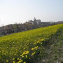 구룡포 초등학교 이미지