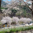 천문대 별빛정원 이미지