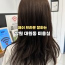 시티할인마트 | 시티세븐 미용실 헤어샵 보그 헤어 애쉬브라운 염색