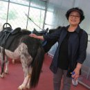 오박사마을 이미지