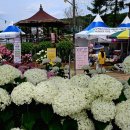 유구읍 웅진식품 내 이미지