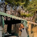 숲길FORESTWAY 네이버블로그