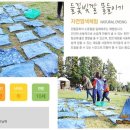 꼼지락제주