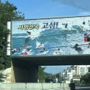 씨유고성휴게소점 | 고성 서핑 추천 [아나하 서프] 내 서핑 보드가 제일 예뻤다..!🏄/ 고성서핑 추천부터 준비물 꿀팁 까아지