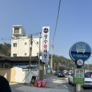 동해식당 | 동해 묵호 애견동반식당 어달리 장수돌짜장 내돈내산후기