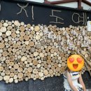 도예목장 이미지