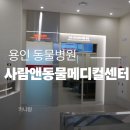 용인센트럴동물병원 | 용인 24시 동물병원 24시사람앤동물메디컬센터에서 강아지 건강검진한 후기