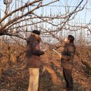 김포시농업기술센터 이미지