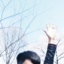 진달래수선