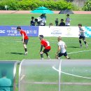 고양종합운동장 보조구장 이미지