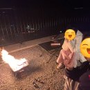 내돈내산) 경남 사천 글램핑 캠핑🏕️ / 인피니티 수영장 🌊- 비토노을숲 🐢/ 솔직후기 / 캠핑일기