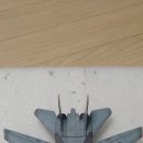 Hasegawa Macross Zero 1/72 F-14 TOMCAT 쿠도 신 탑승기. 이미지