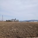 옥산신도시공인중개사사무소 이미지