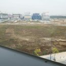 국세청 옆 이미지