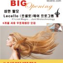 르셀 이미지